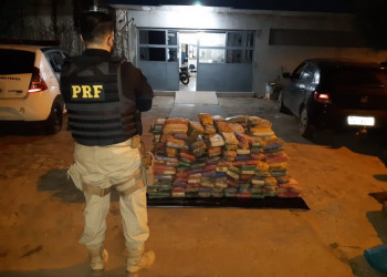 PRF realiza apreensão de 379,6kg de maconha no Sul do Piauí; maior já registrada até agora